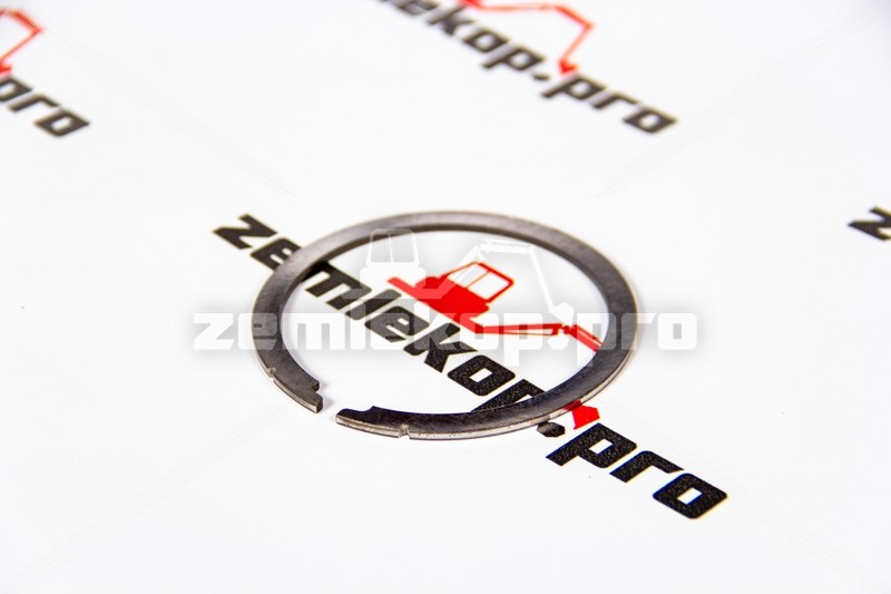 246841 Шайба DANA