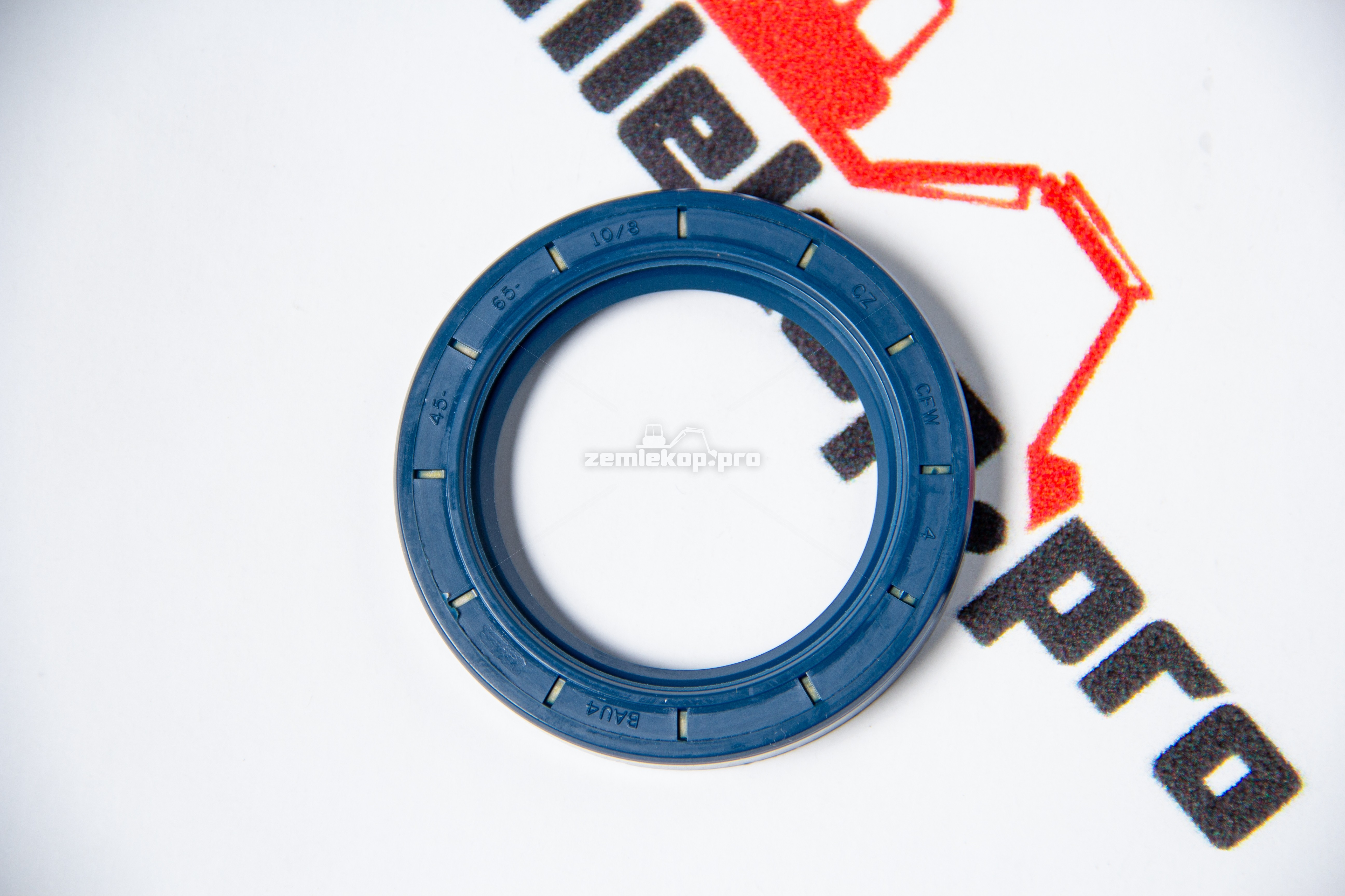 725.01.031.01 Сальник DANA