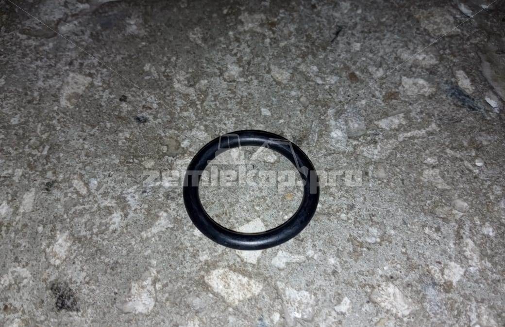 100173 Кольцо