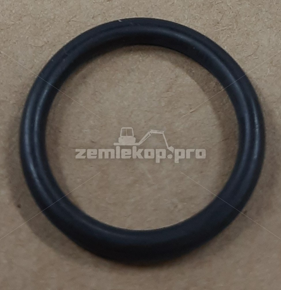 100121 INDECO О-кольцо