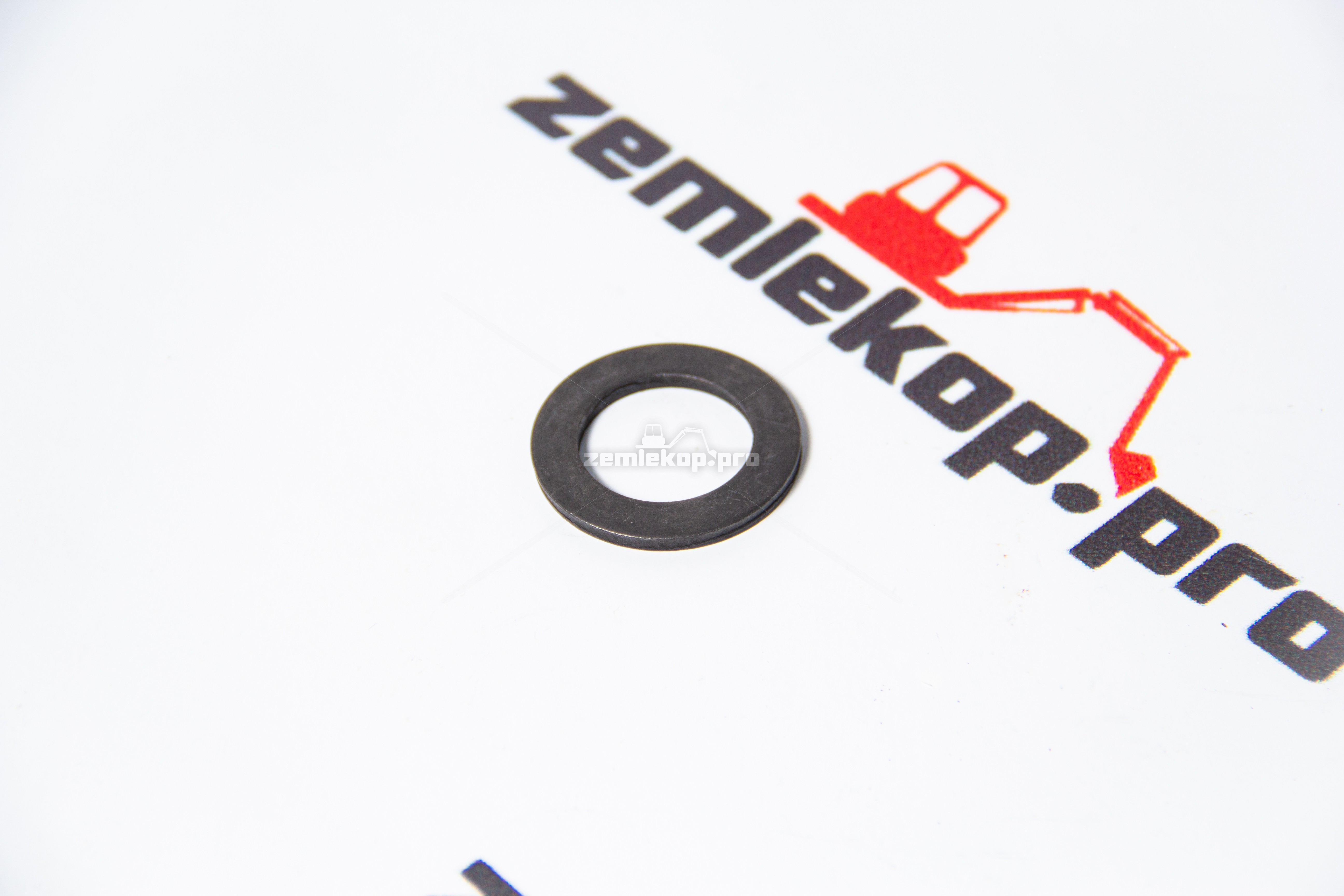 111658 Шайба DANA