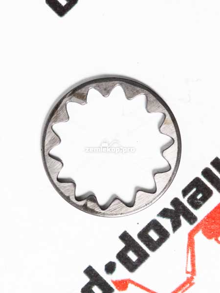 211.06.024.02 Шайба DANA