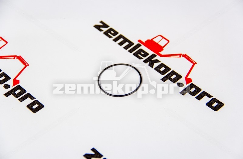 4208228 Кольцо DANA 4208228