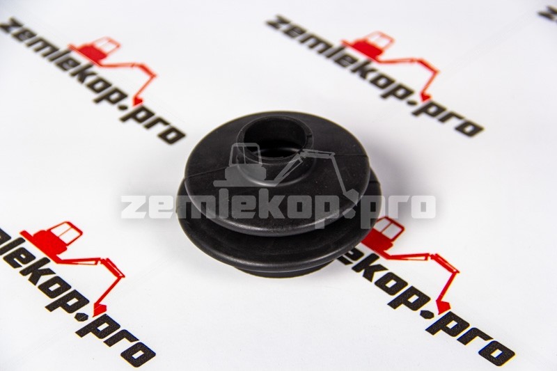 4208582 Защита DANA 4208582