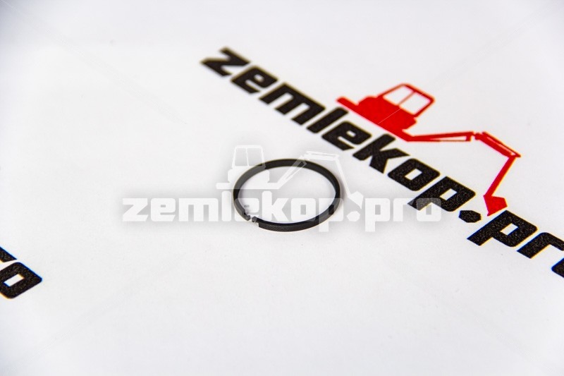 4209393 Кольцо DANA 4209393