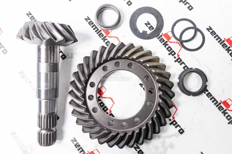 65596 Главная пара