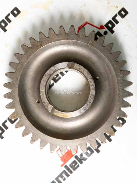 139799 Шестерня