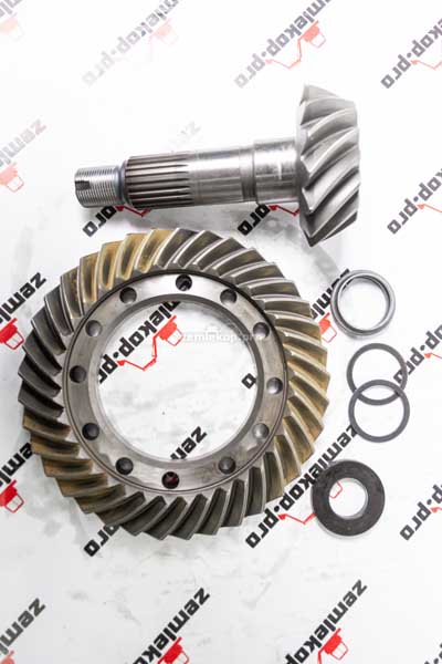 68911 Главная пара