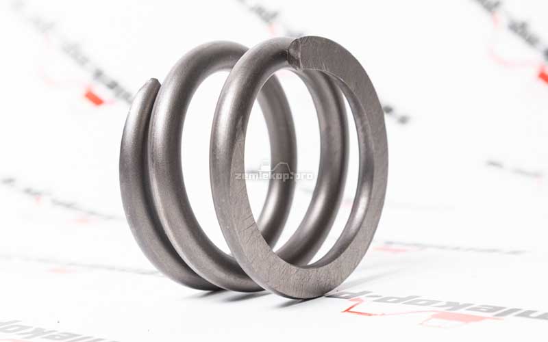 111.04.031.03 Пружина DANA