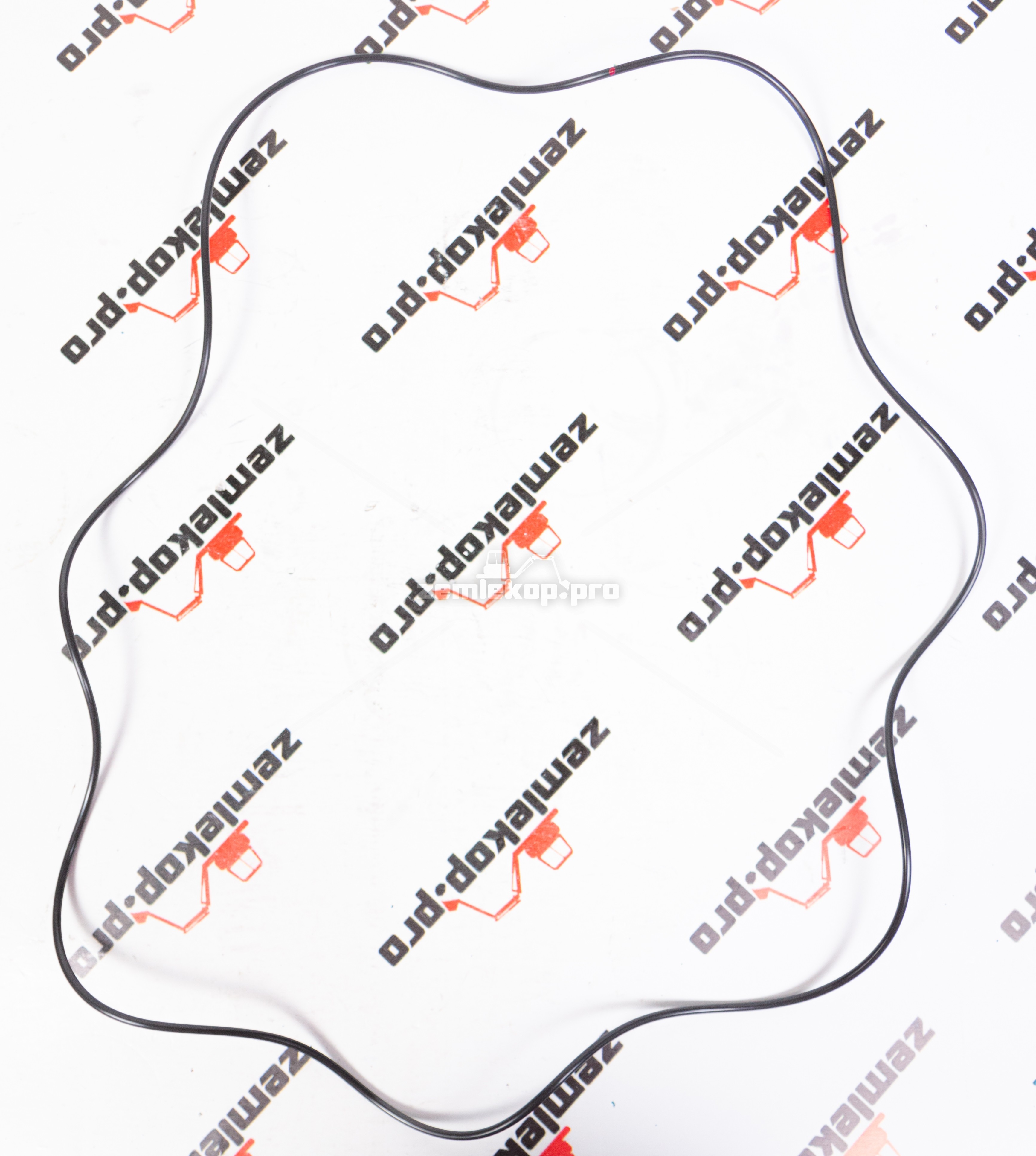 76K283 О-кольцо DANA