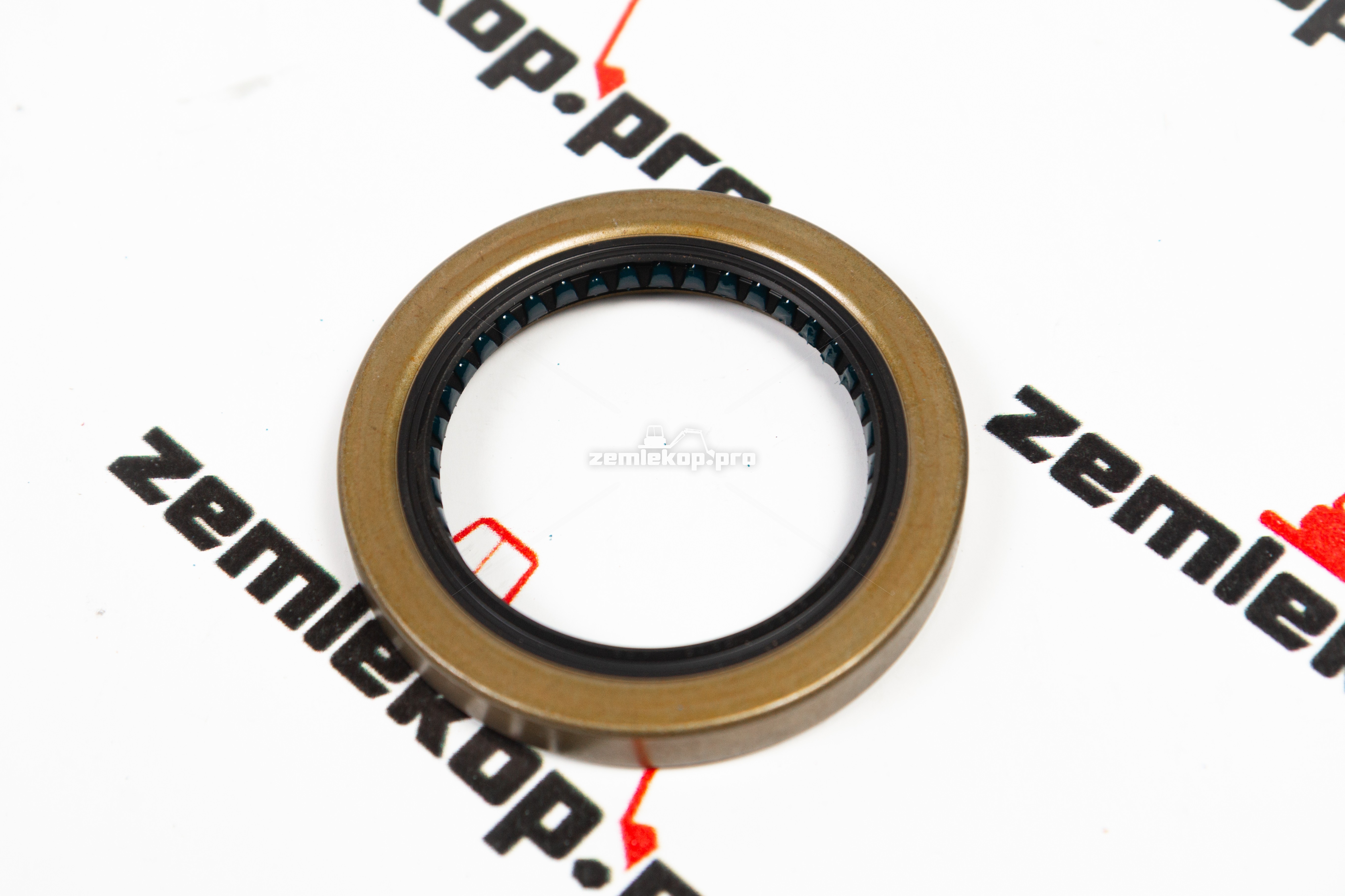 209587 Сальник DANA