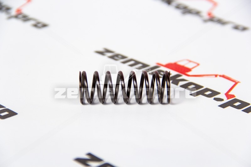 241662 Пружина DANA