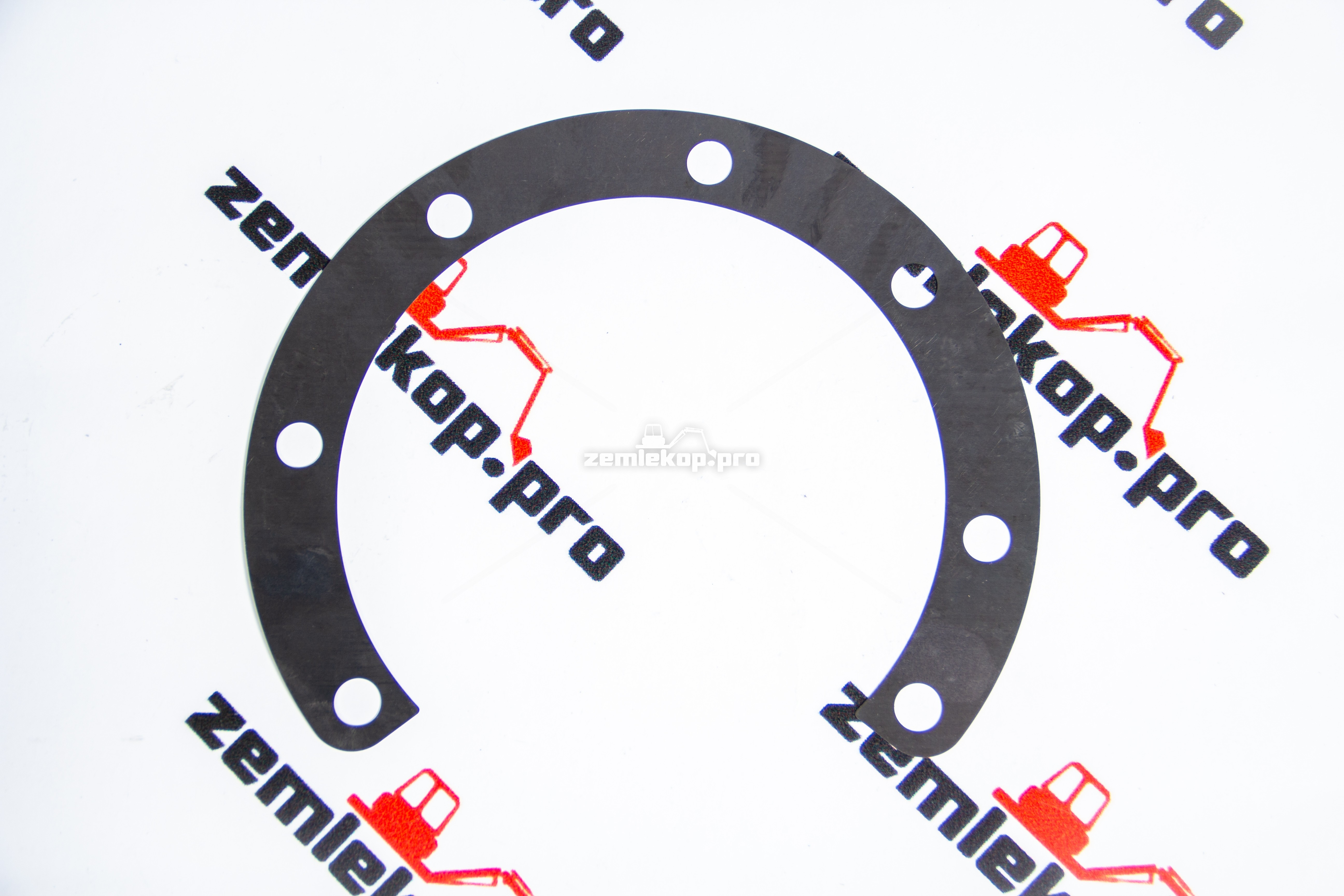 250125 Прокладка DANA