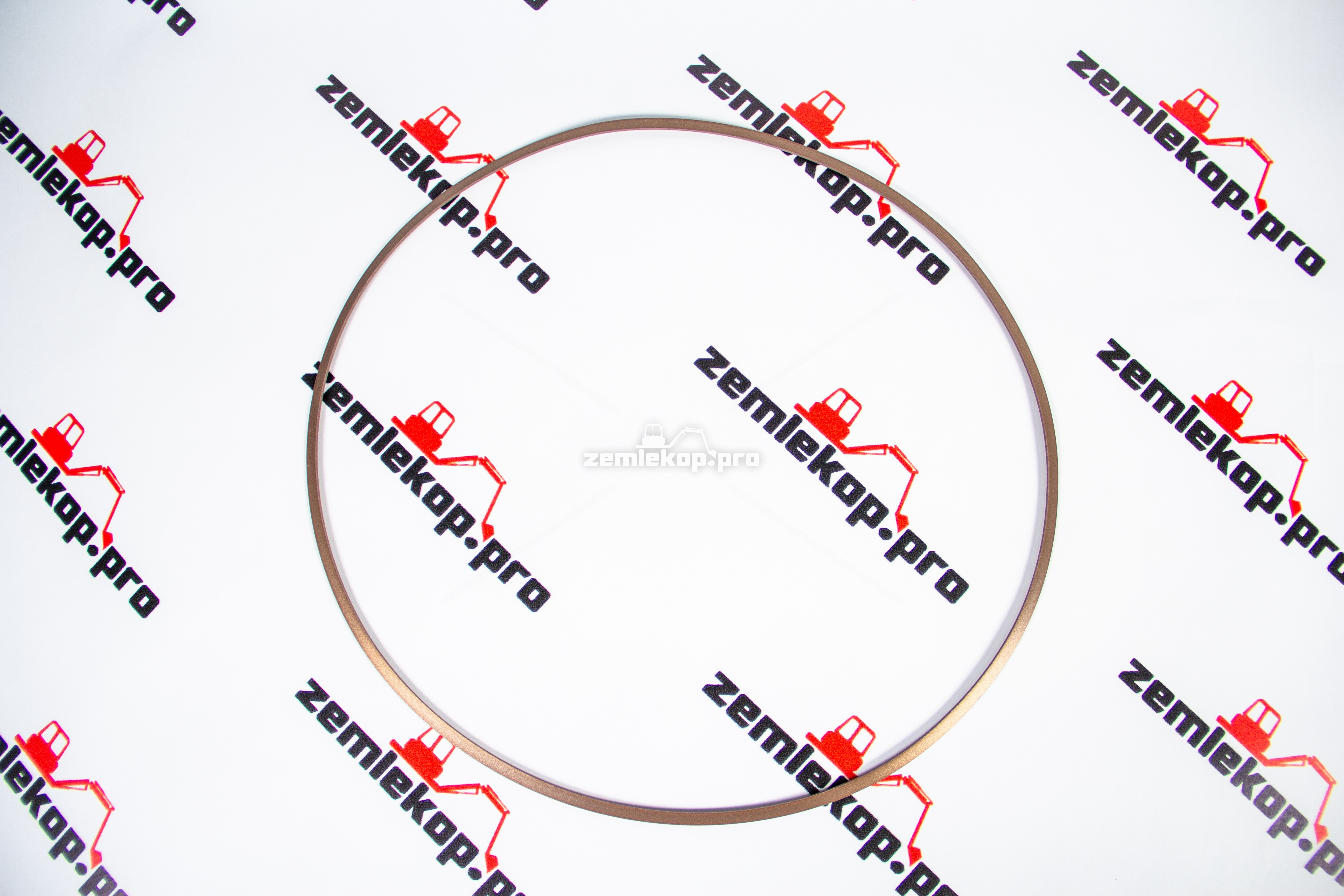 0501335109 Кольцо поддерживающее ZF;50MP-T043