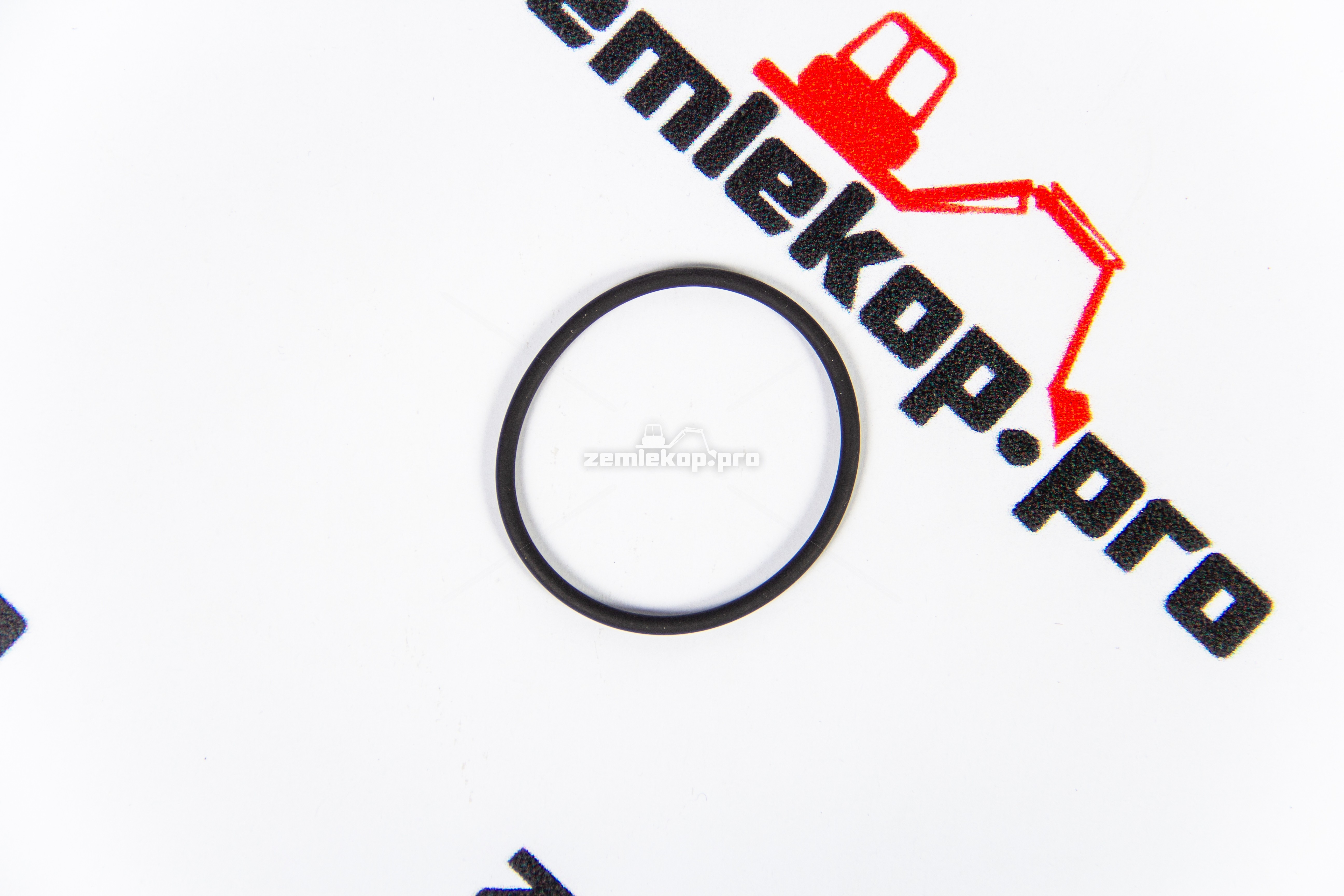 0634313269 О-кольцо ZF