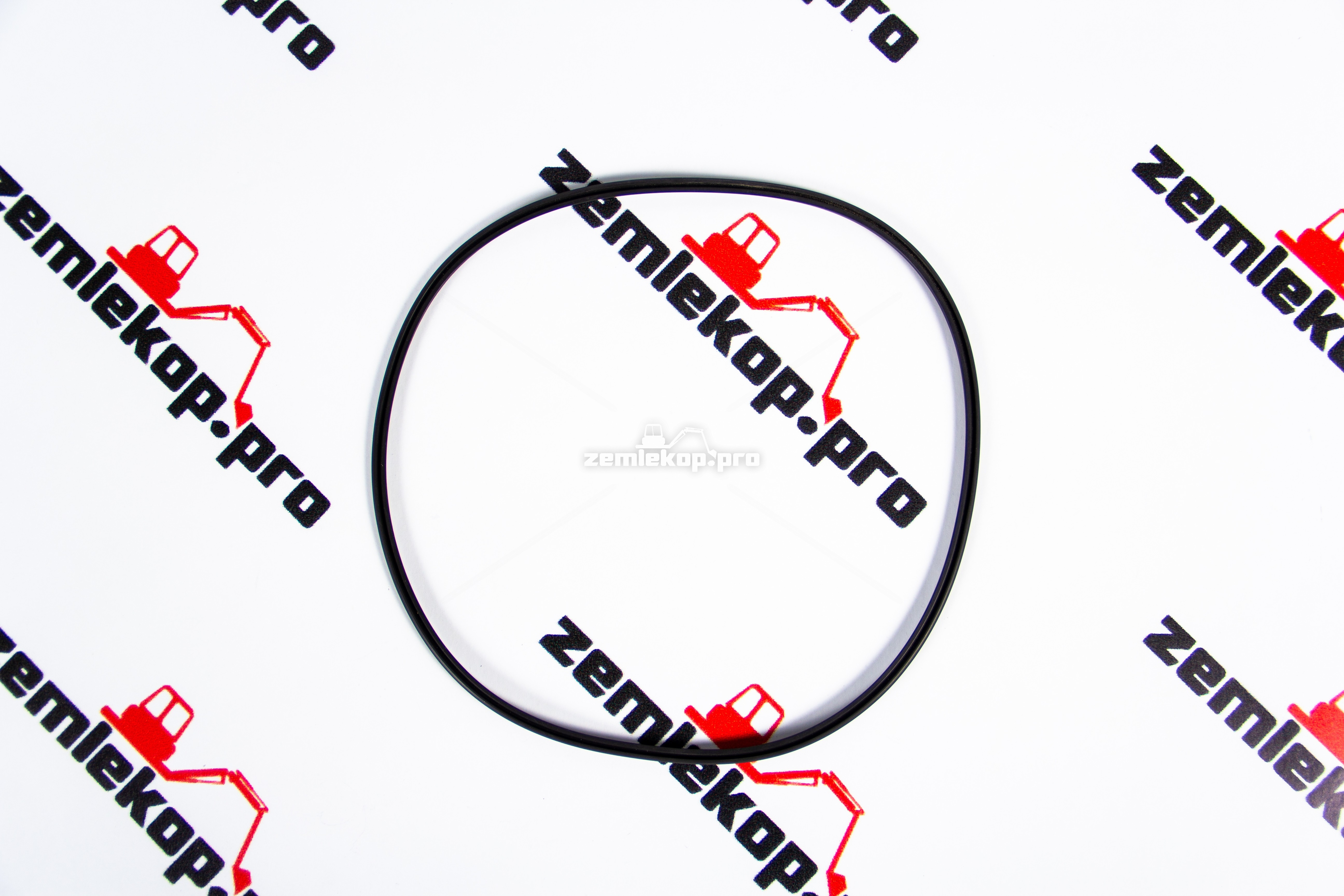 0734317180 Кольцо ZF