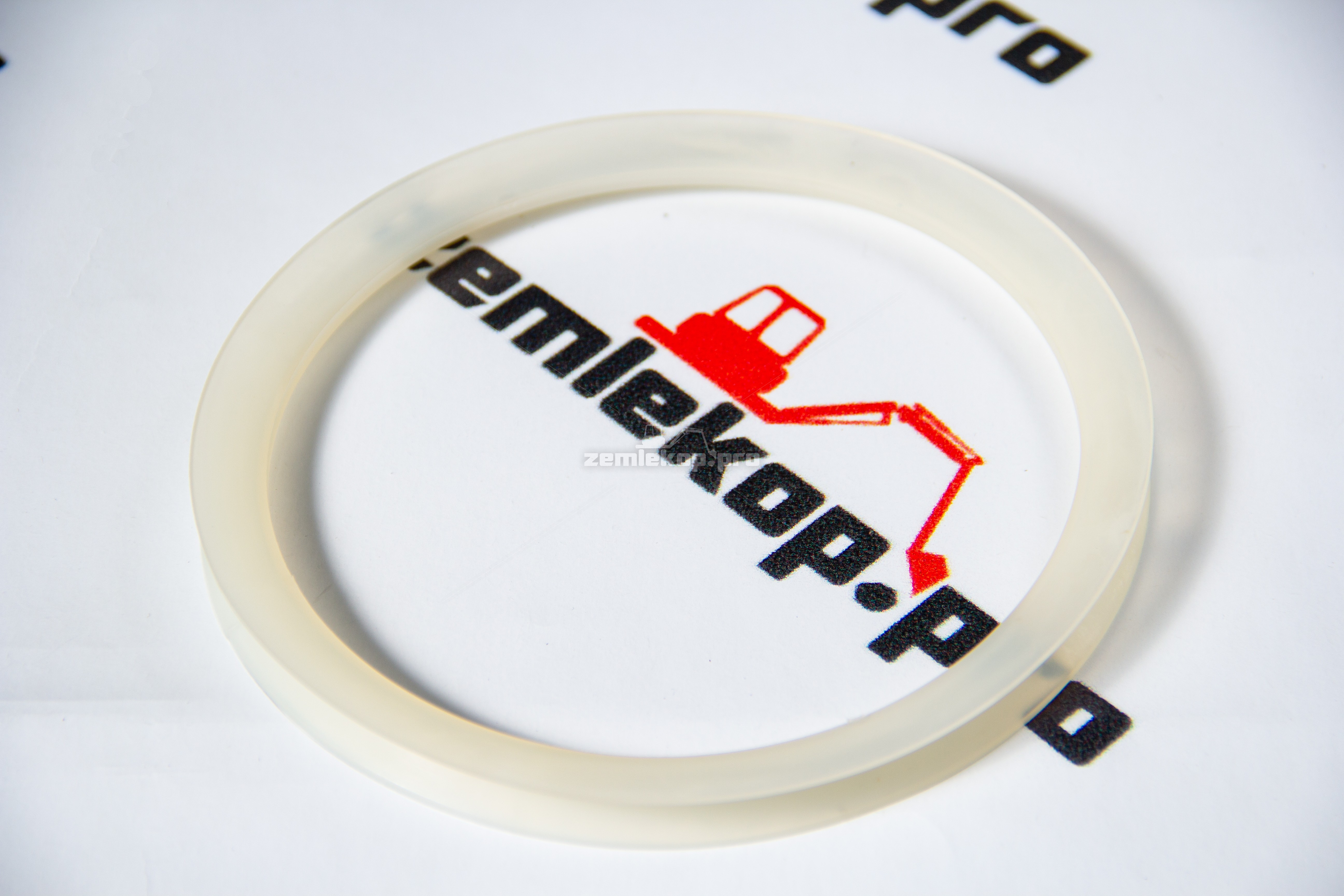 720.25.010.02 Сальник DANA