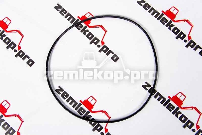 123.07.021.01 О-кольцо DANA