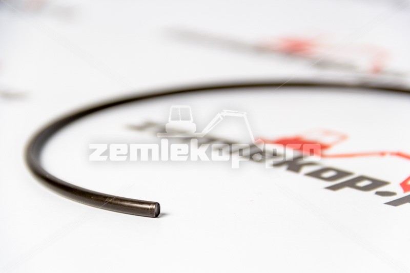 111.06.019.01 Стопорное кольцо DANA