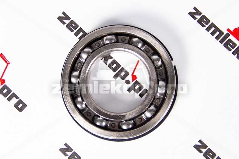 4205132N Подшипник DANA