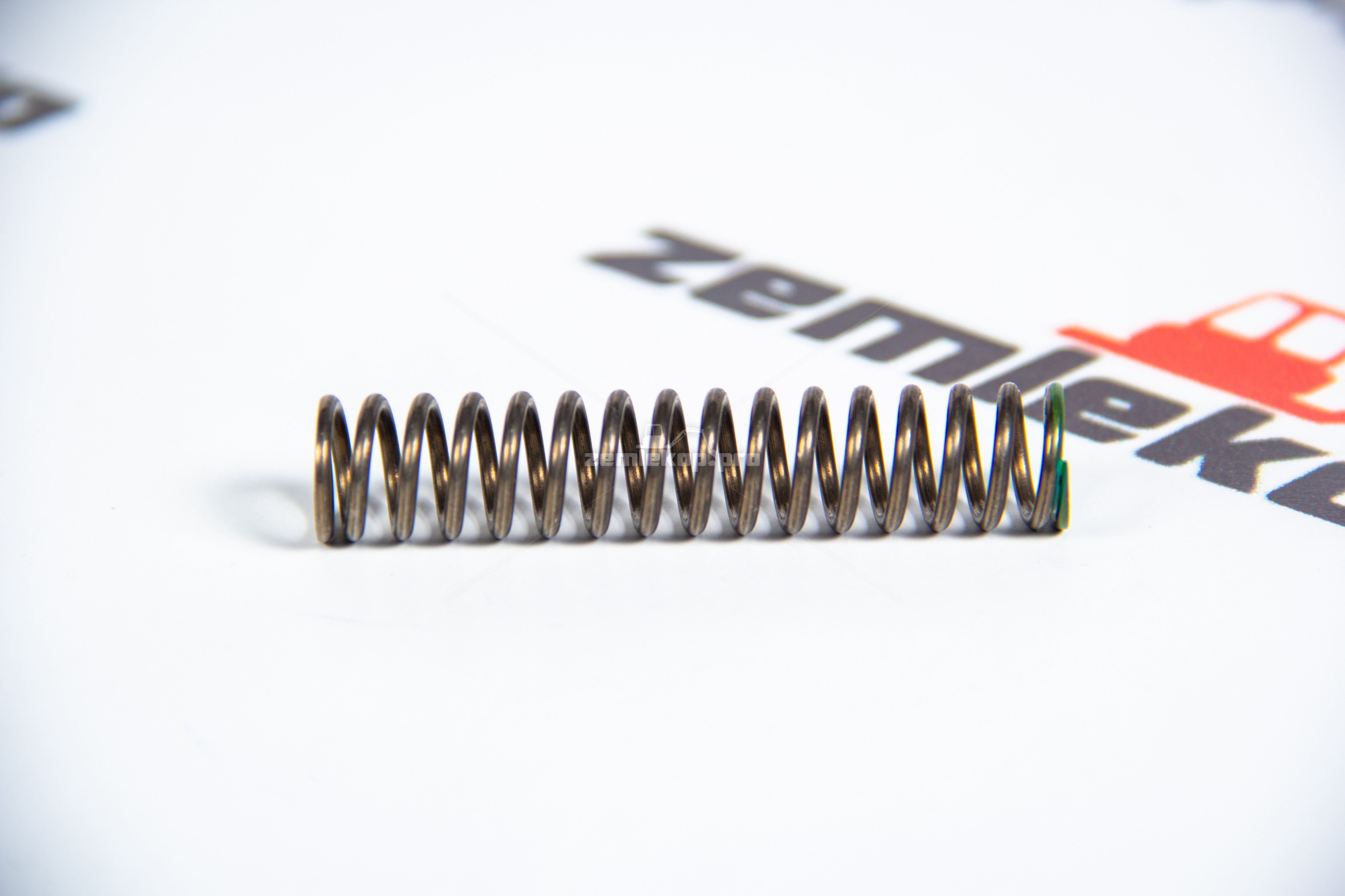 246594 Пружина DANA