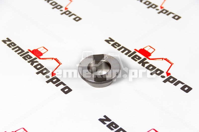 211.06.031.02 Кольцо DANA