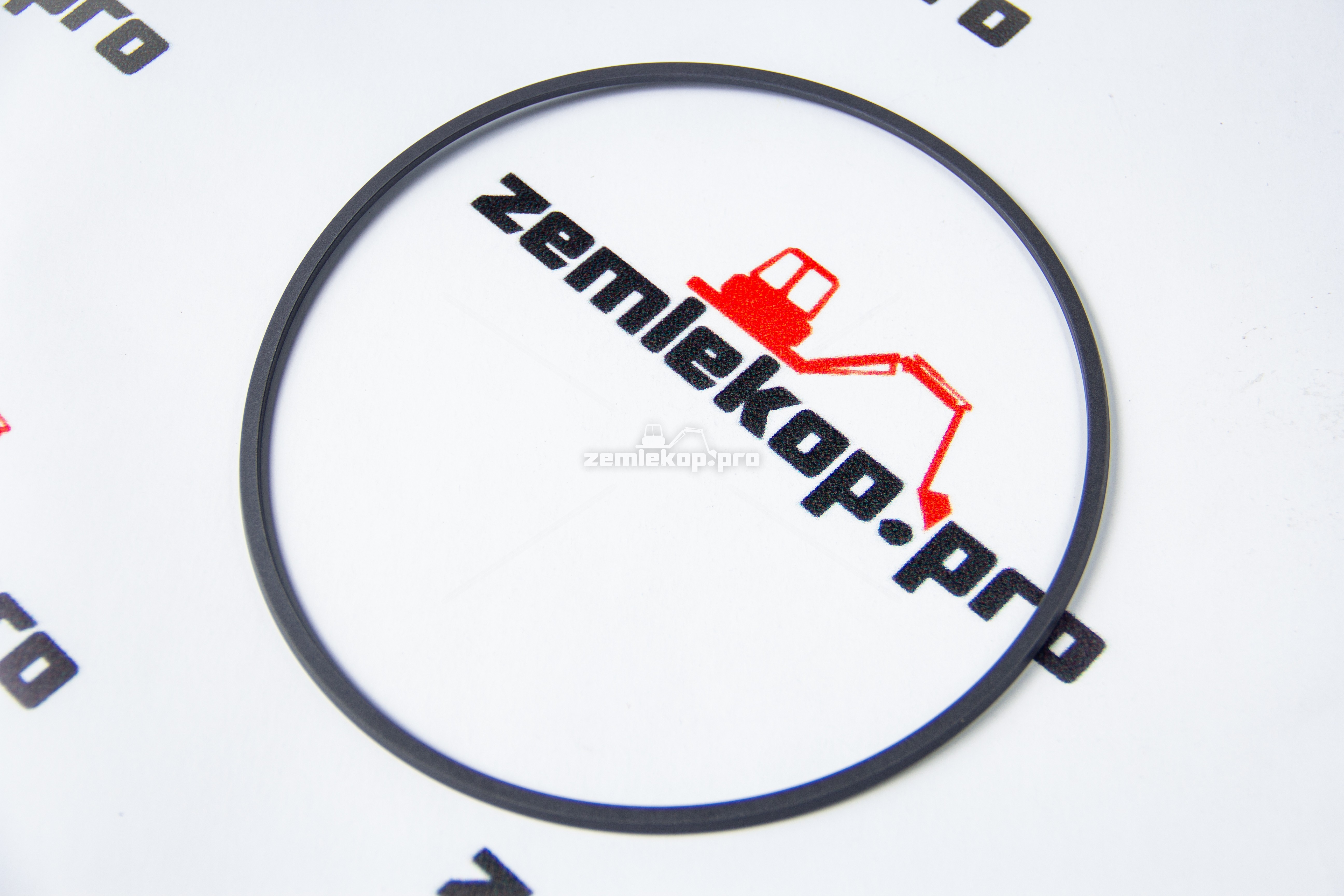 4207417 Уплотнительное кольцо DANA