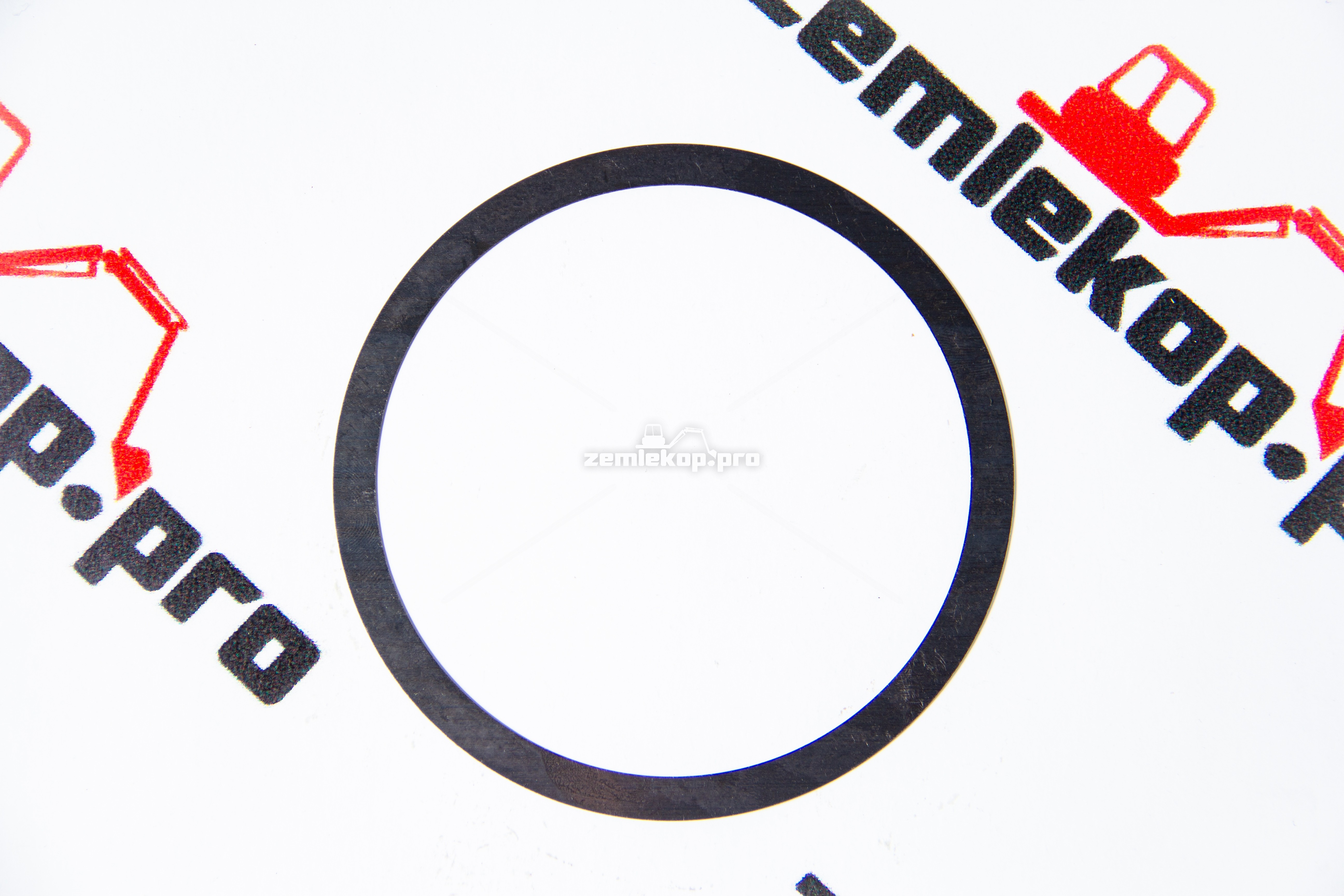 013.01.4818 Шайба DANA