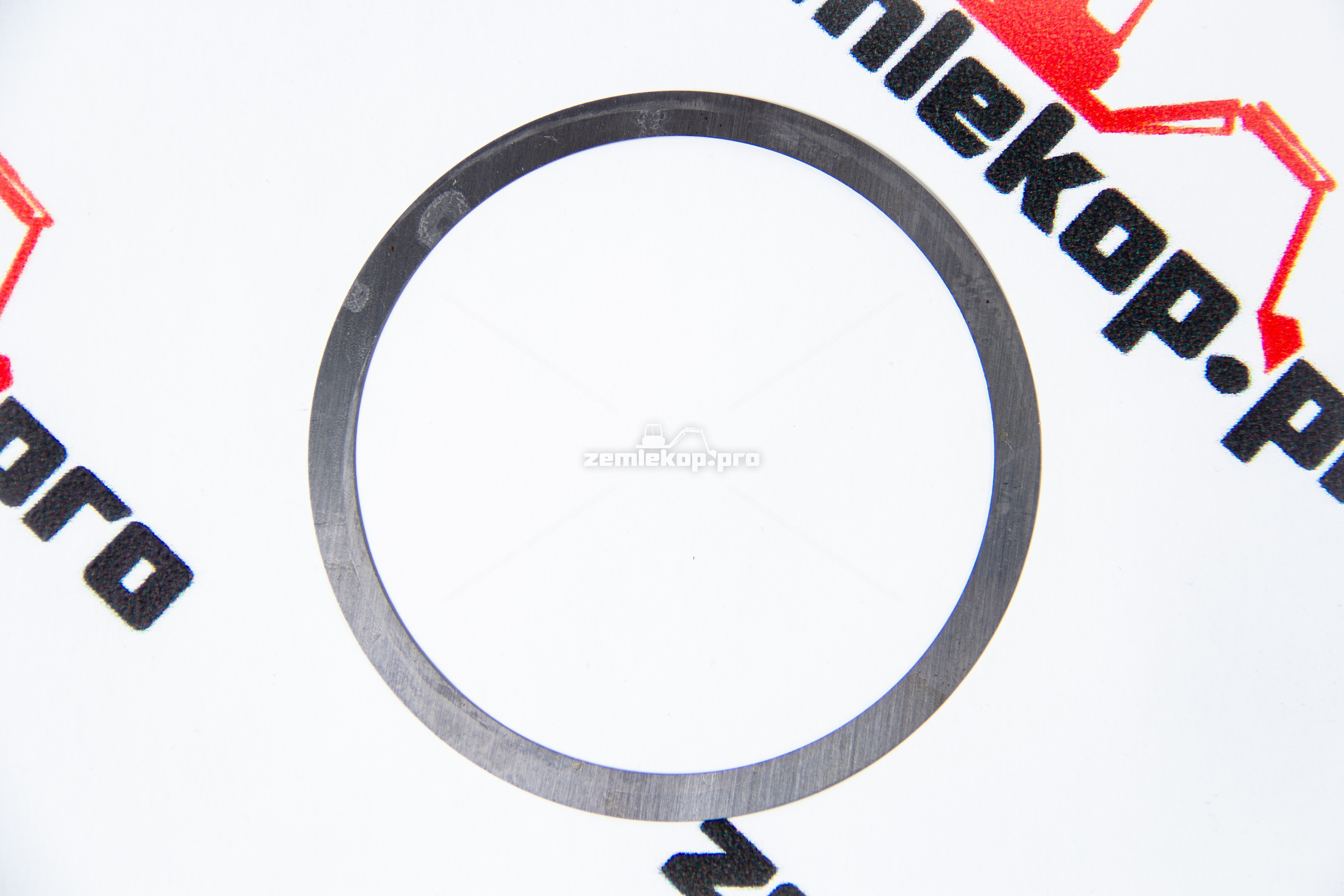 013.01.4817 Шайба DANA