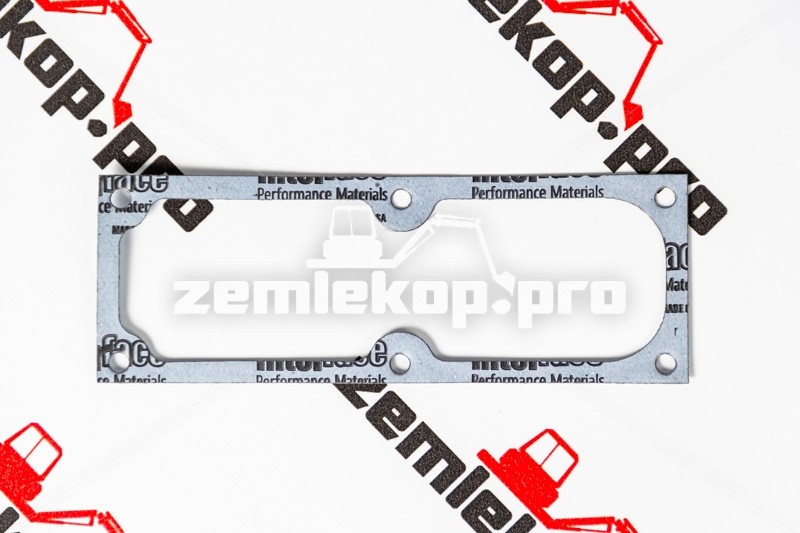 4205790 Прокладка DANA