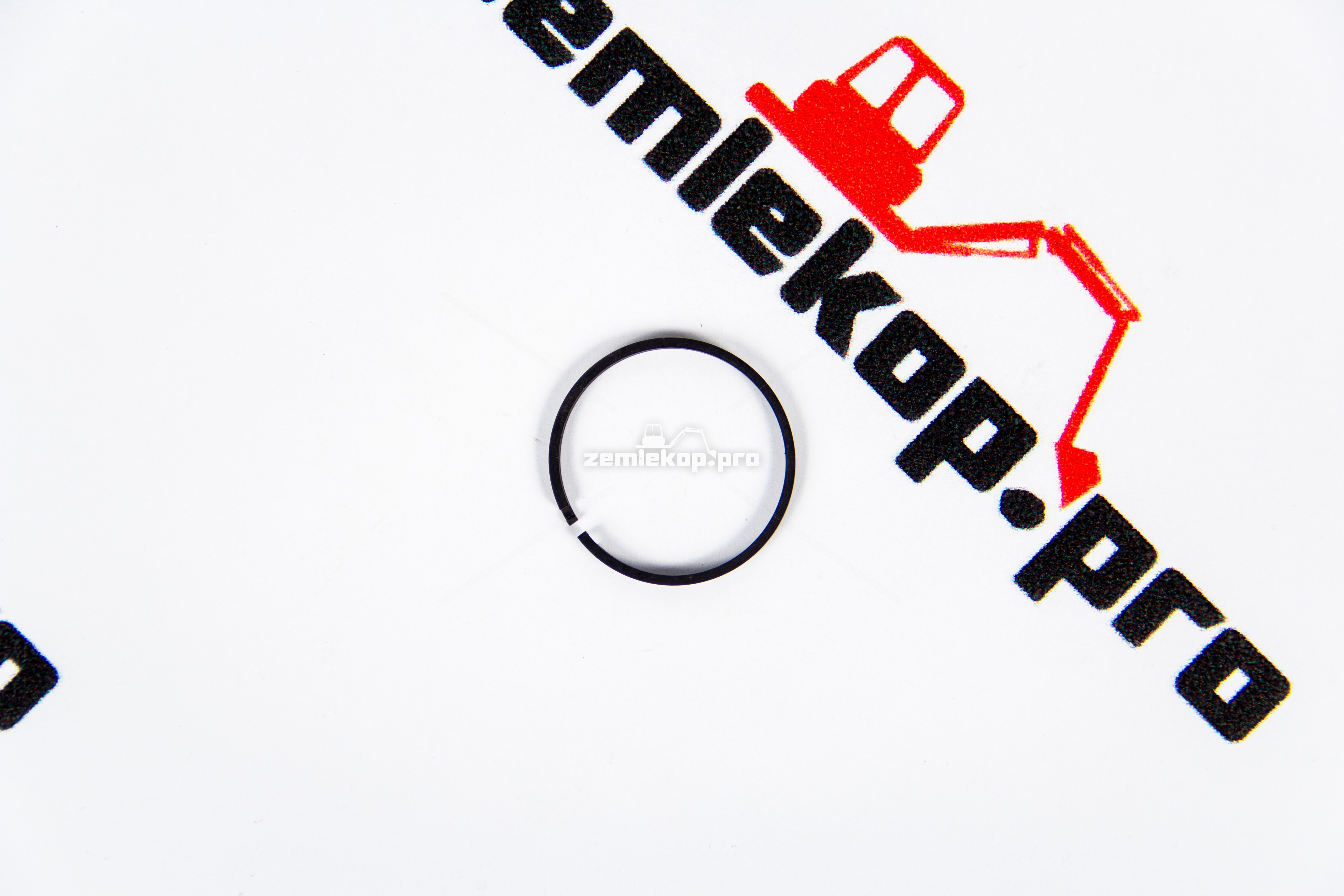 8100397 Кольцо DANA 250217