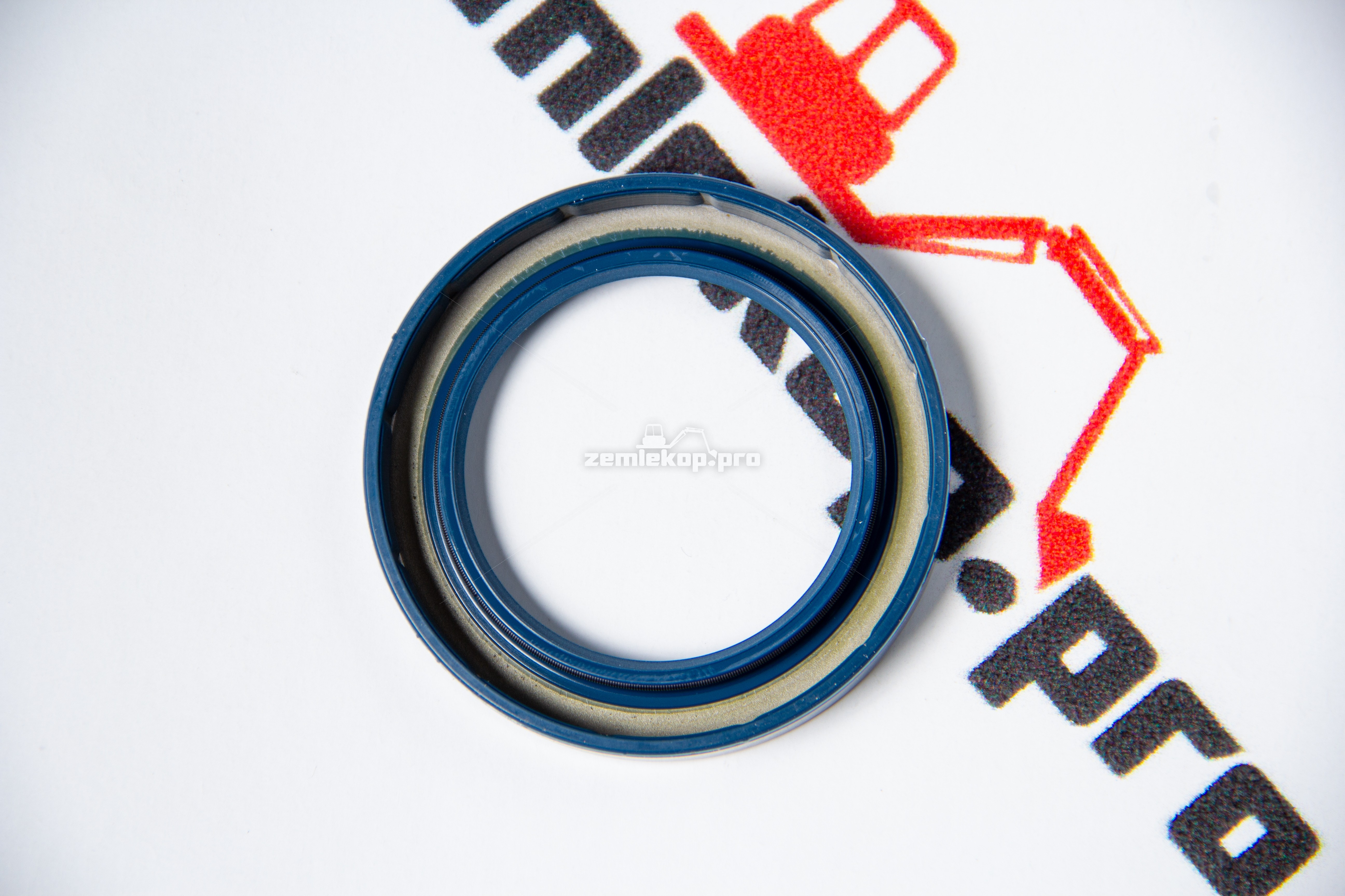 725.01.031.01 Сальник DANA