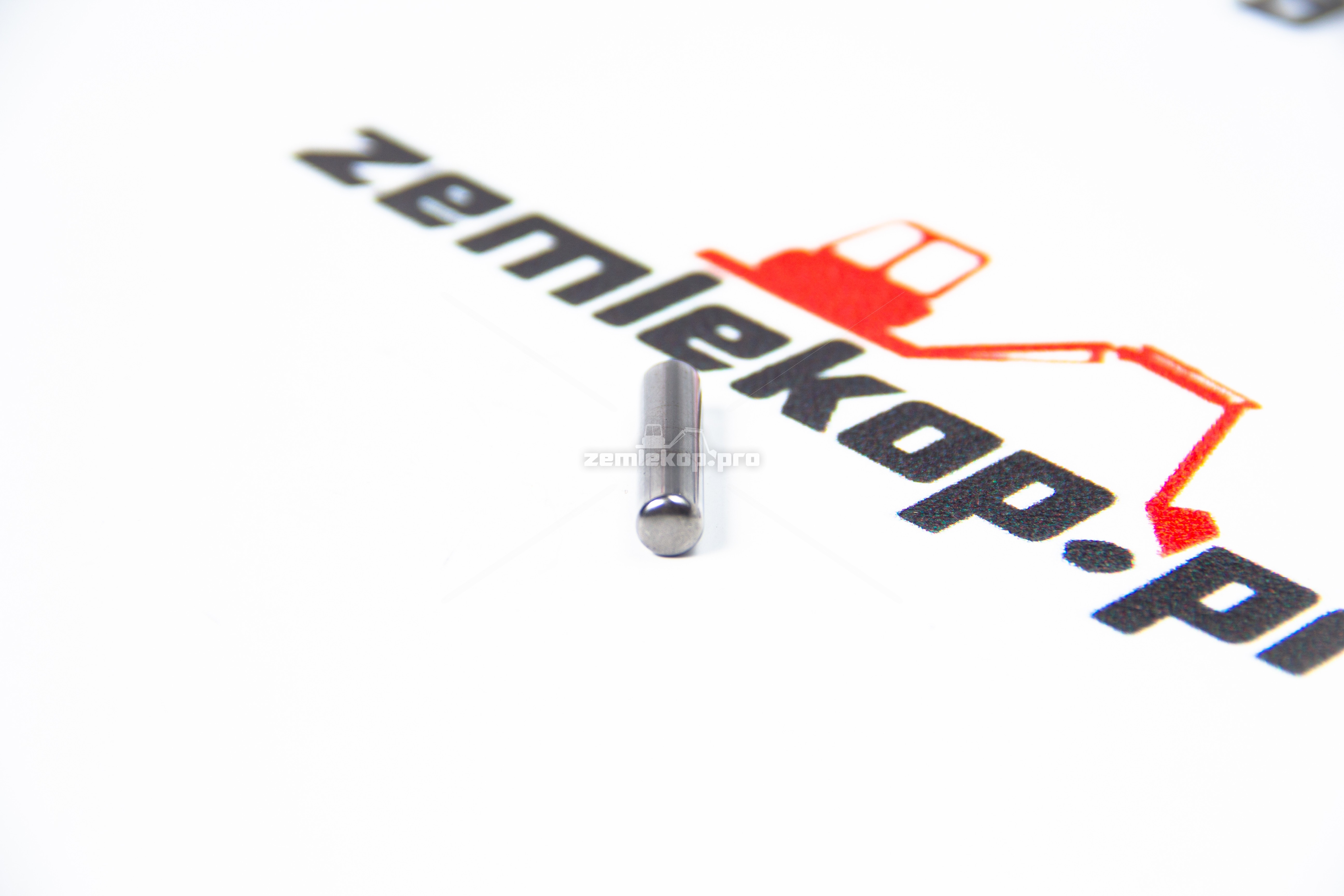 2109810 Игла подшипника DANA