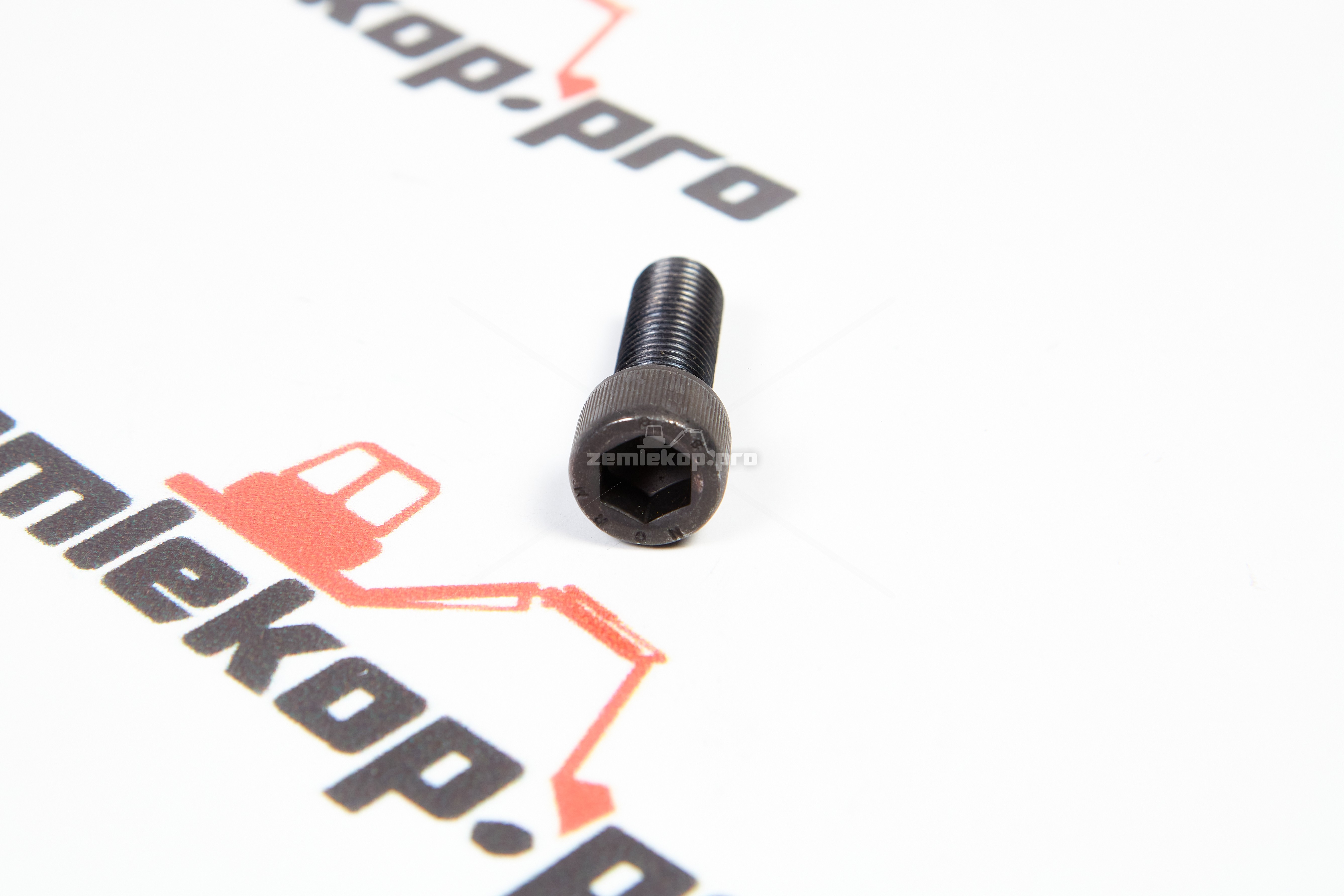 120704-00058 ZF Гайка