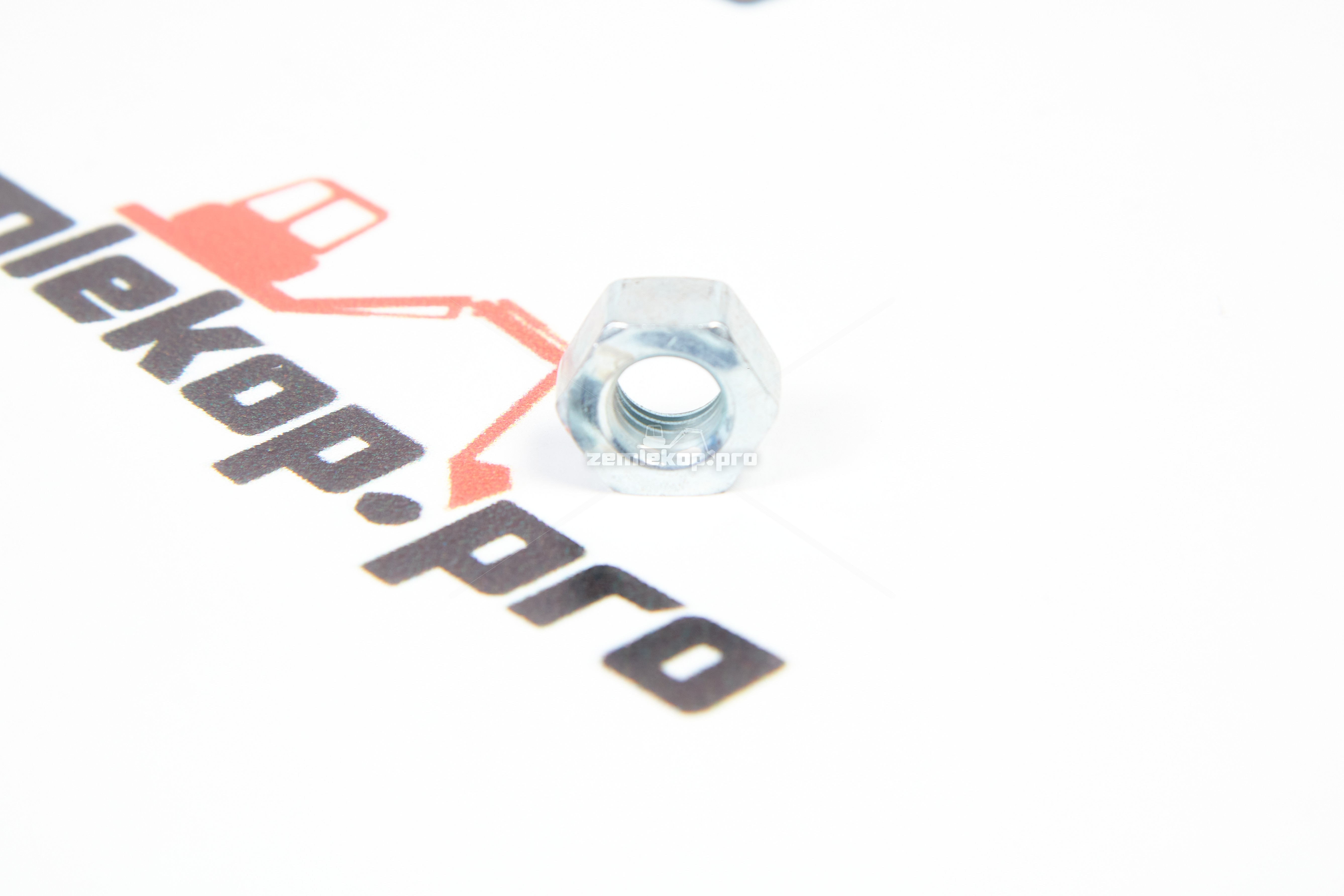 120312-00667 ZF Гайка