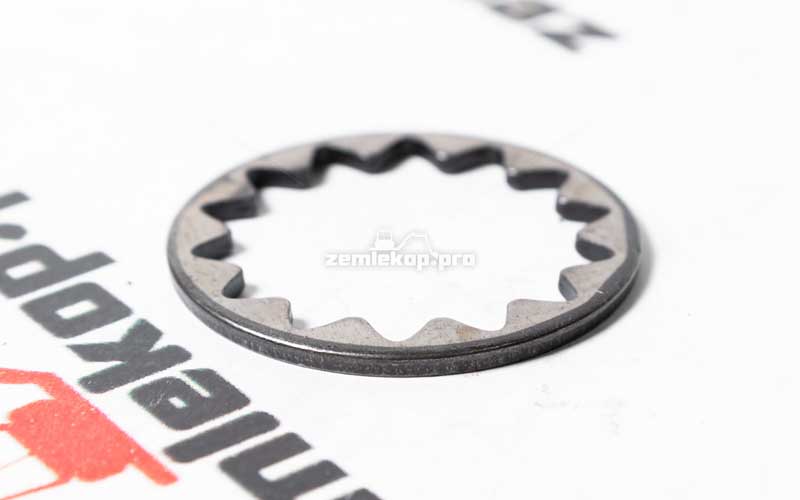 211.06.024.02 Шайба DANA