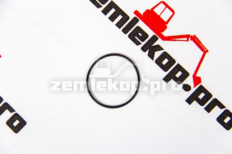 4208228 Кольцо DANA 4208228