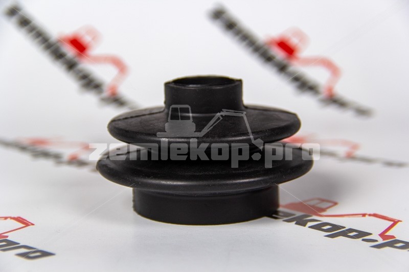 4208582 Защита DANA 4208582