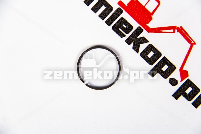 4209393 Кольцо DANA 4209393