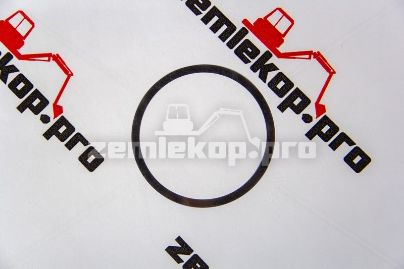 4211541 Шайба регулировочная DANA 4211541