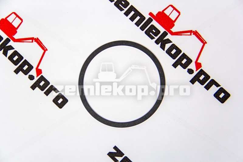 4209408 Шайба регулировочная DANA 4209408