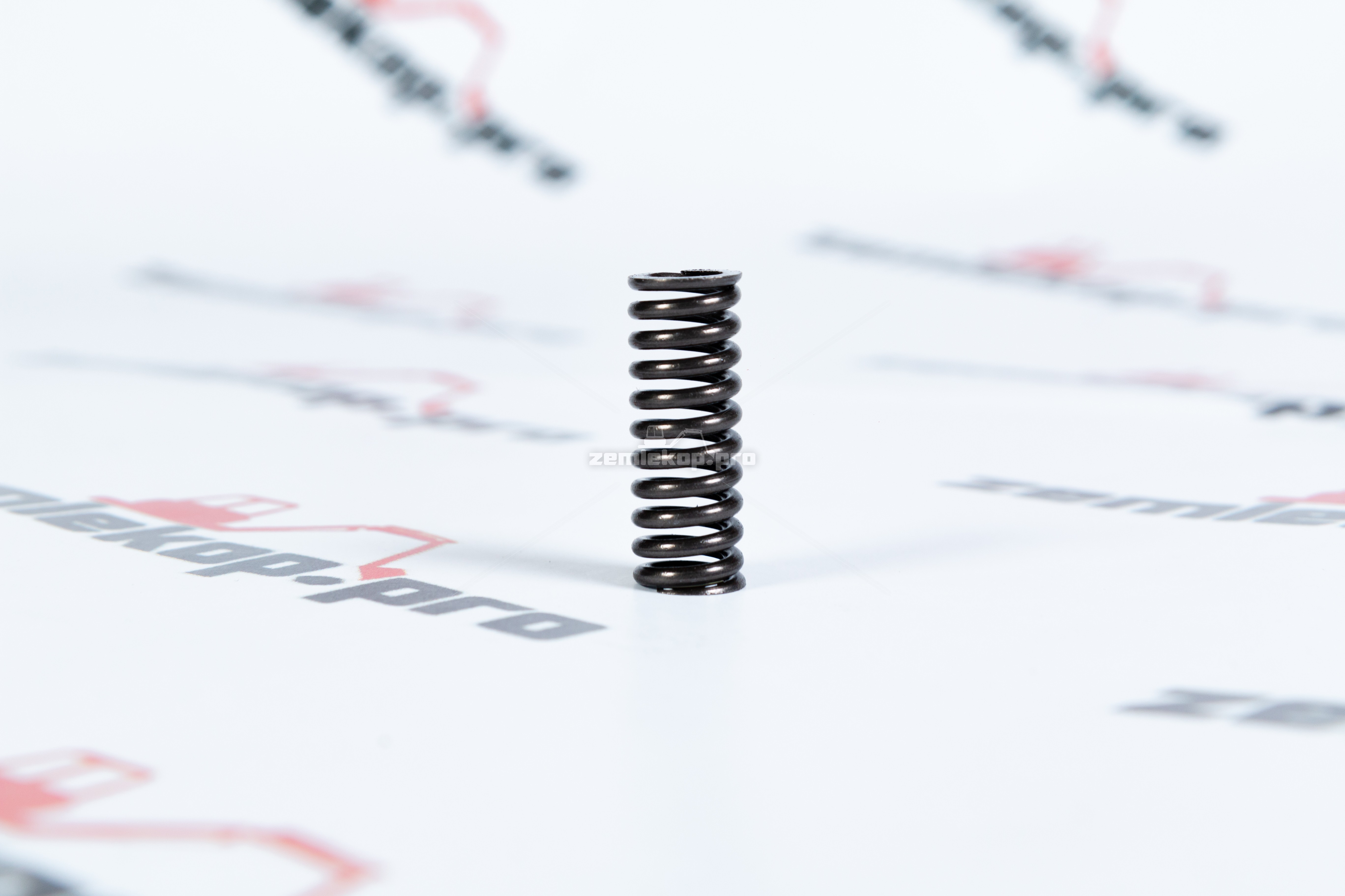 125209 Пружина