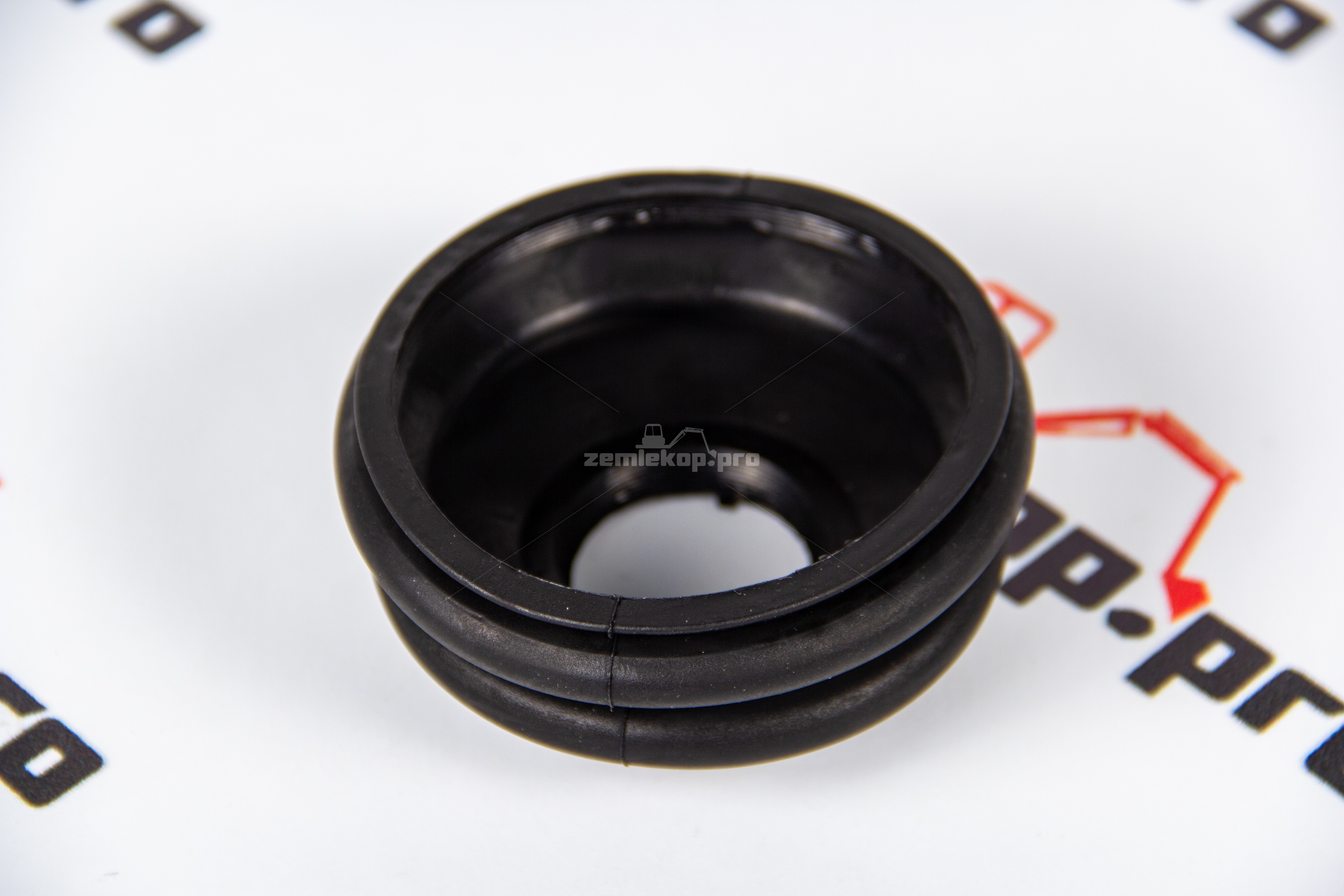 970.06.044.01 Пыльник DANA