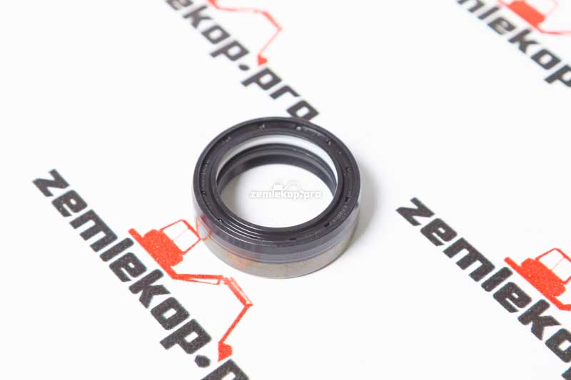 381523 Сальник