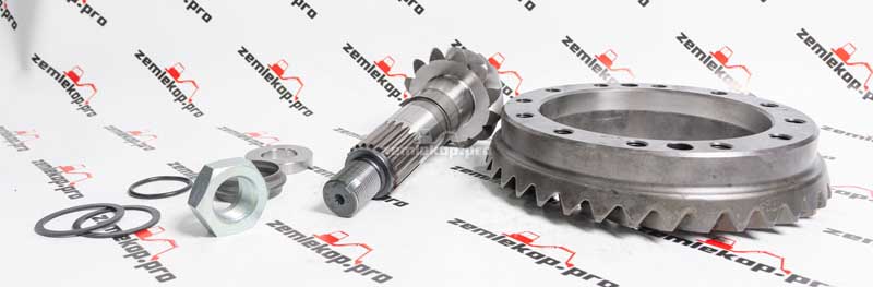 64884 Главная пара