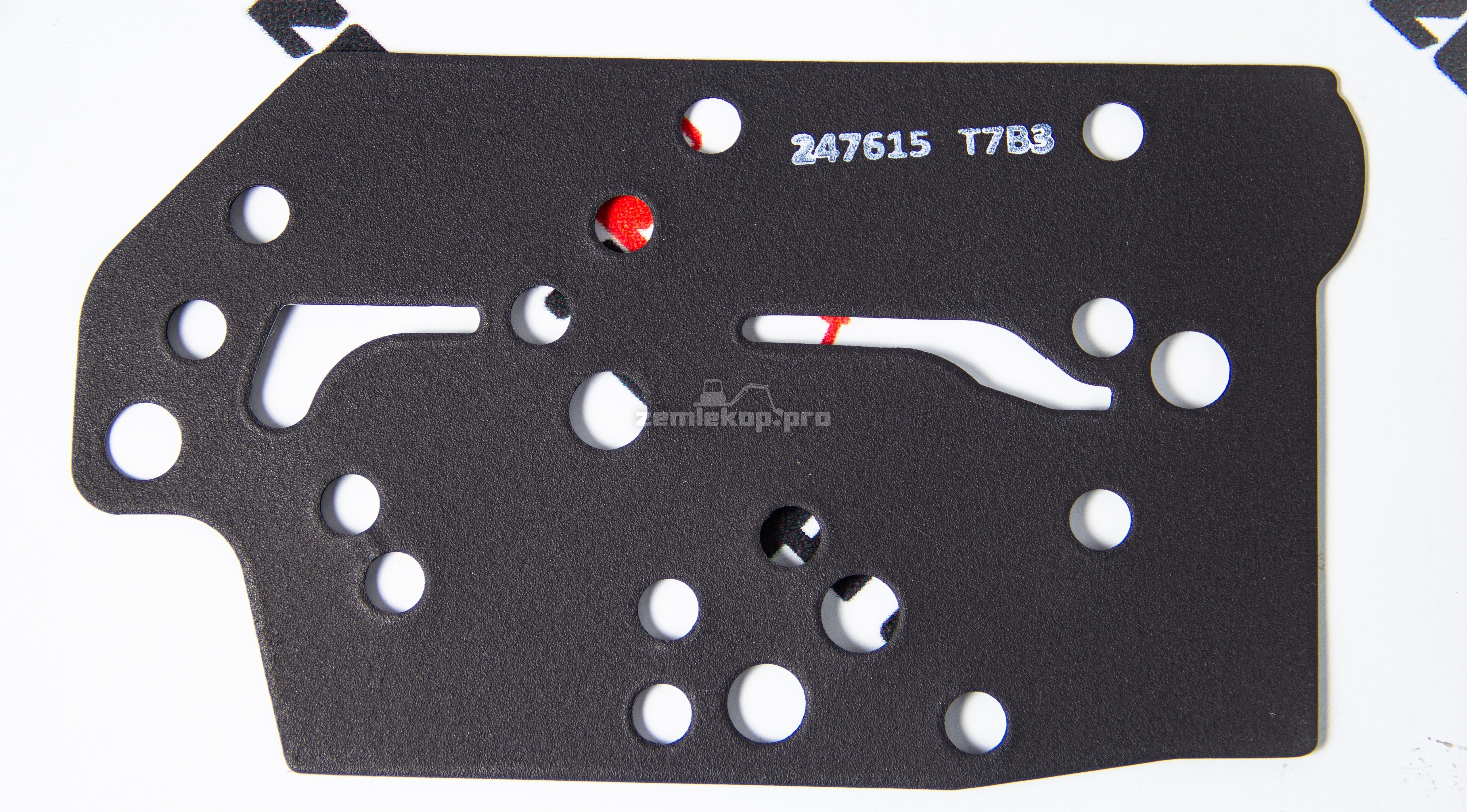 247615 Прокладка DANA