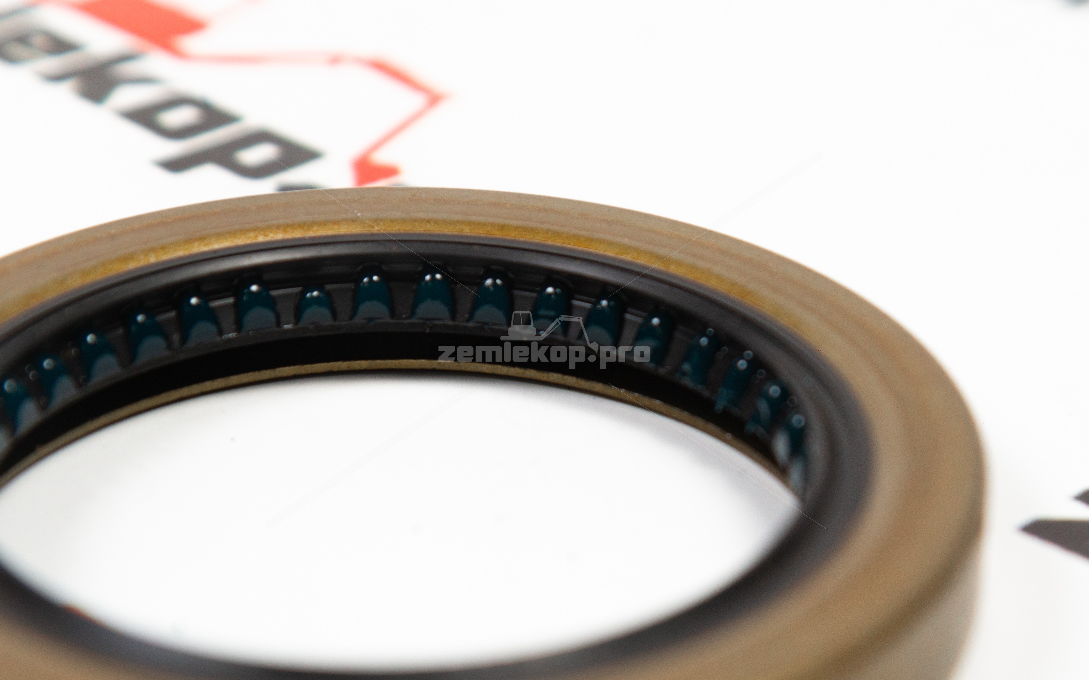 209587 Сальник DANA