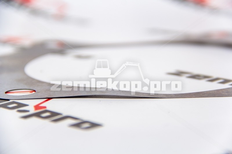 218740CH Прокладка DANA