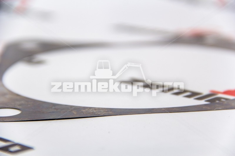 218741 Прокладка DANA