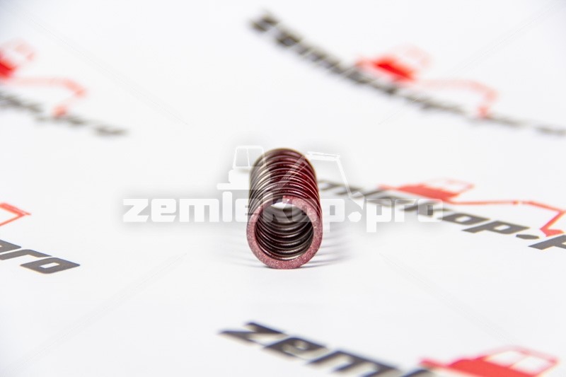 241662 Пружина DANA